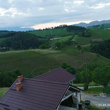 Casa Din Livada, Poiana Marului, Brasov别墅 外观 照片